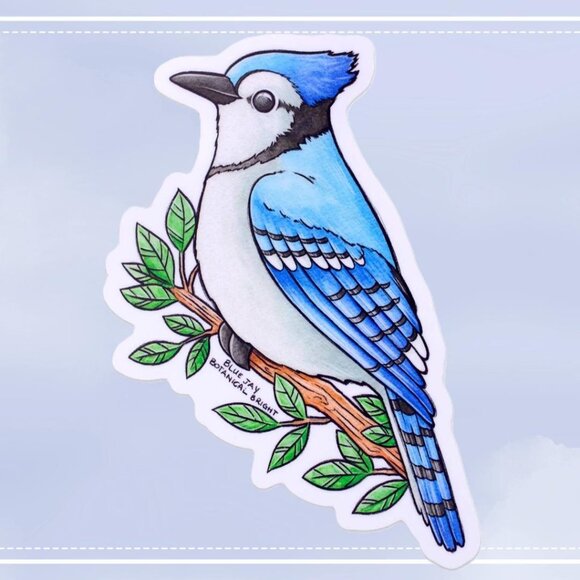 3 for $15 - Blue Jay‎ Bird Sticker - Waterproof Vinyl Nature Decal - Crafts - Picture 1 of 6
